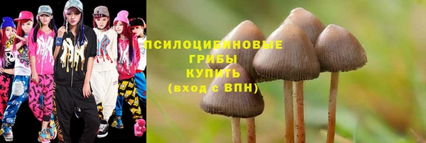 ГАЛЛЮЦИНОГЕННЫЕ ГРИБЫ Ладушкин