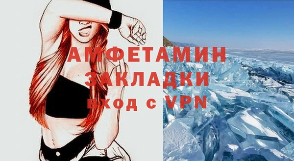 ГАЛЛЮЦИНОГЕННЫЕ ГРИБЫ Ладушкин