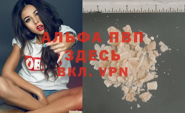 ГАЛЛЮЦИНОГЕННЫЕ ГРИБЫ Ладушкин