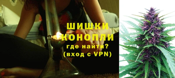 ГАЛЛЮЦИНОГЕННЫЕ ГРИБЫ Ладушкин