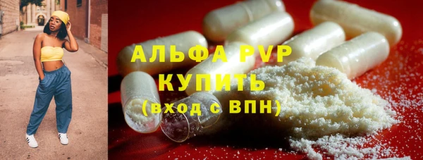 ГАЛЛЮЦИНОГЕННЫЕ ГРИБЫ Ладушкин